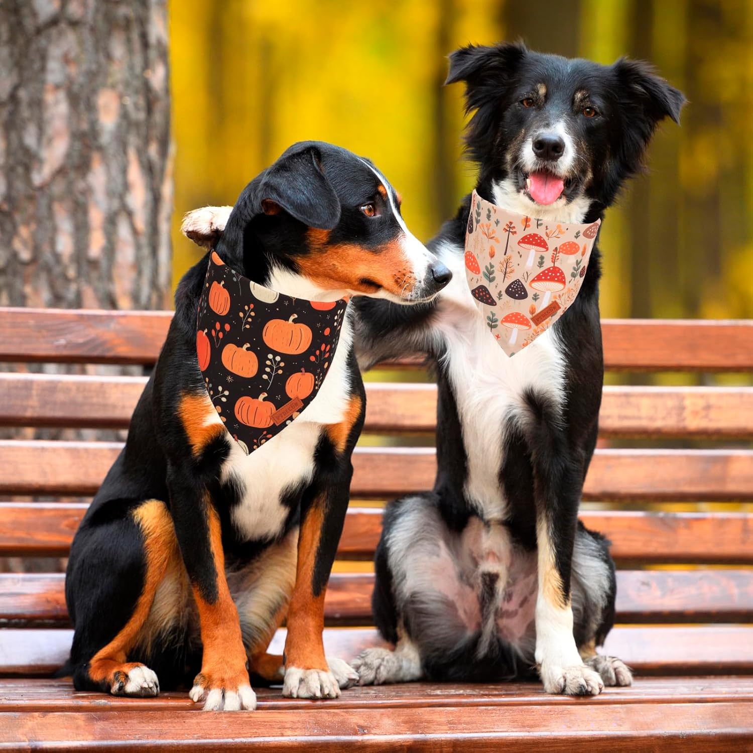 PTDECOR Fall Dog Bandana, Pumpkin Mushroom Design Scarf Reversible Holiday Dog Scarf, Triangle Thanksgiving Bandanas for Medium Large Pets (Large)