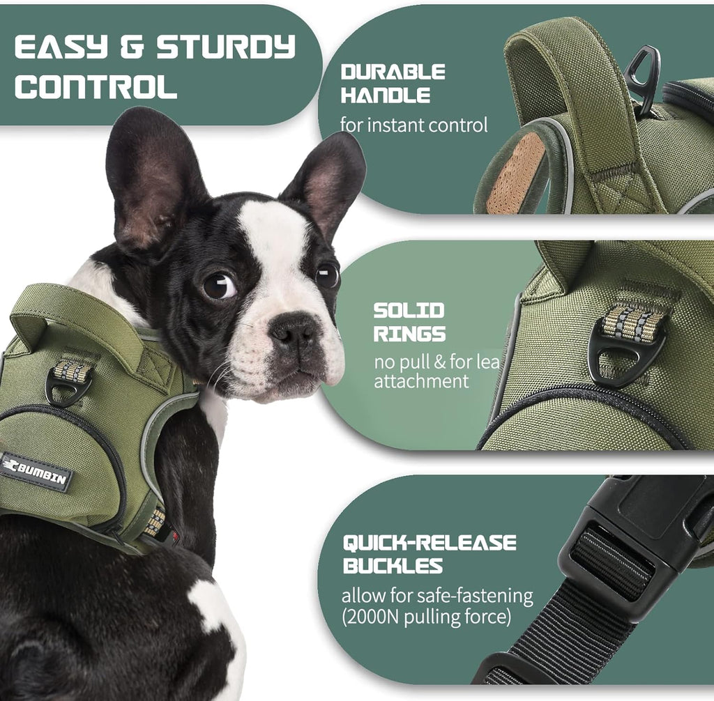No Pull Dog Harness for Medium Dogs, Adjustable No Choke Pet Vest with Dog Leash Fit Smart Reflective Pet Walking Harness for Training Easy Control Soft Handle Green M