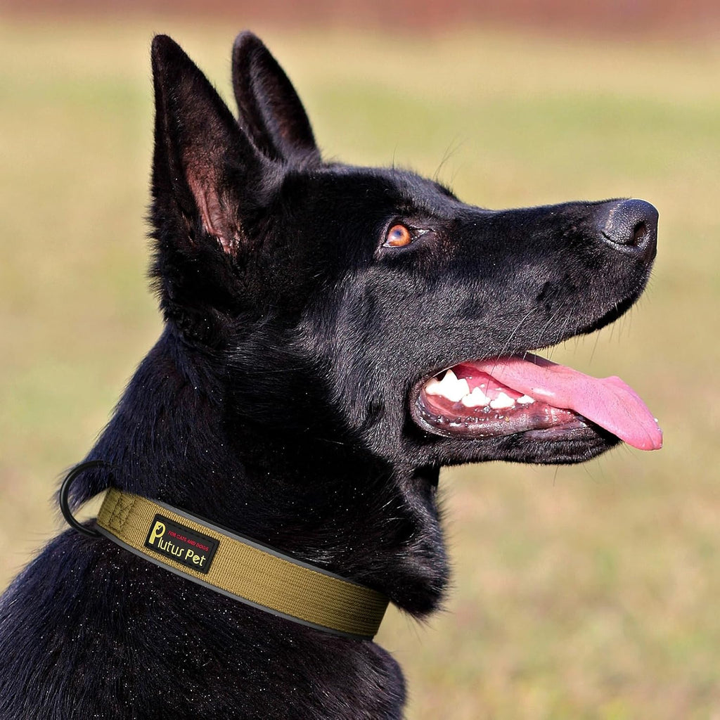 Plutus Pet Tactical Dog Collar, Reflective, Adjustable Heavy Duty Dog Collar, Soft Padded and Comfortable, for Small Medium and Large Dogs (Brown, S)