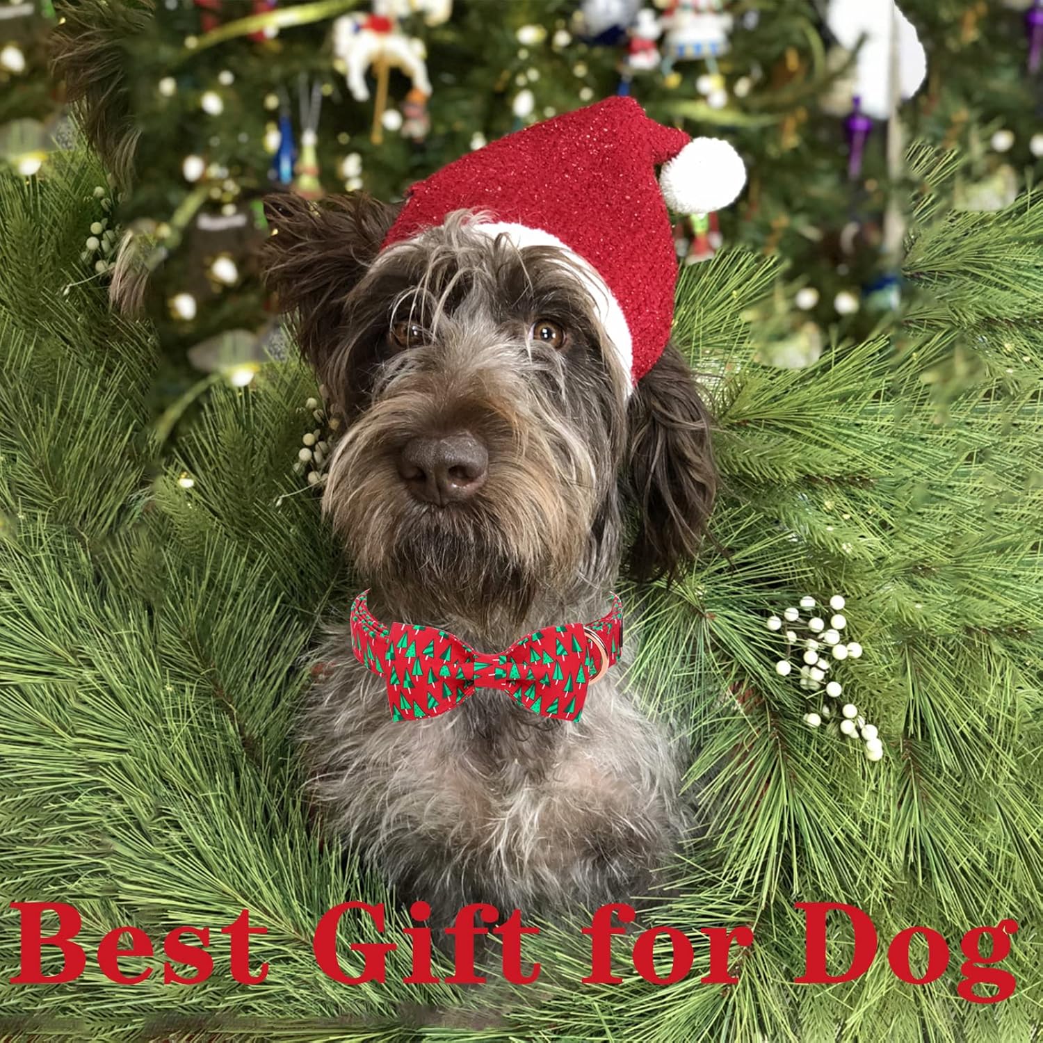 Unique style paws Christmas Dog Collar with Bow Best Winter for Small Medium Large Dogs -Christmas Tree-S