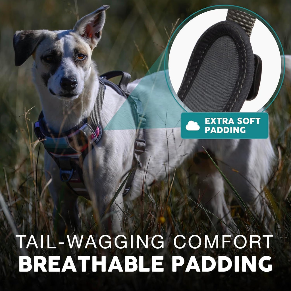 Embark Adventure Dog Harness, Reflective Trim XL Dog Harness for Extra Large Dogs No Pull - Military Grade Nylon, 2 Leash Clips & Gel Lined Handle. Soft & Padded Puppy Dog Harnesses for Any Breed