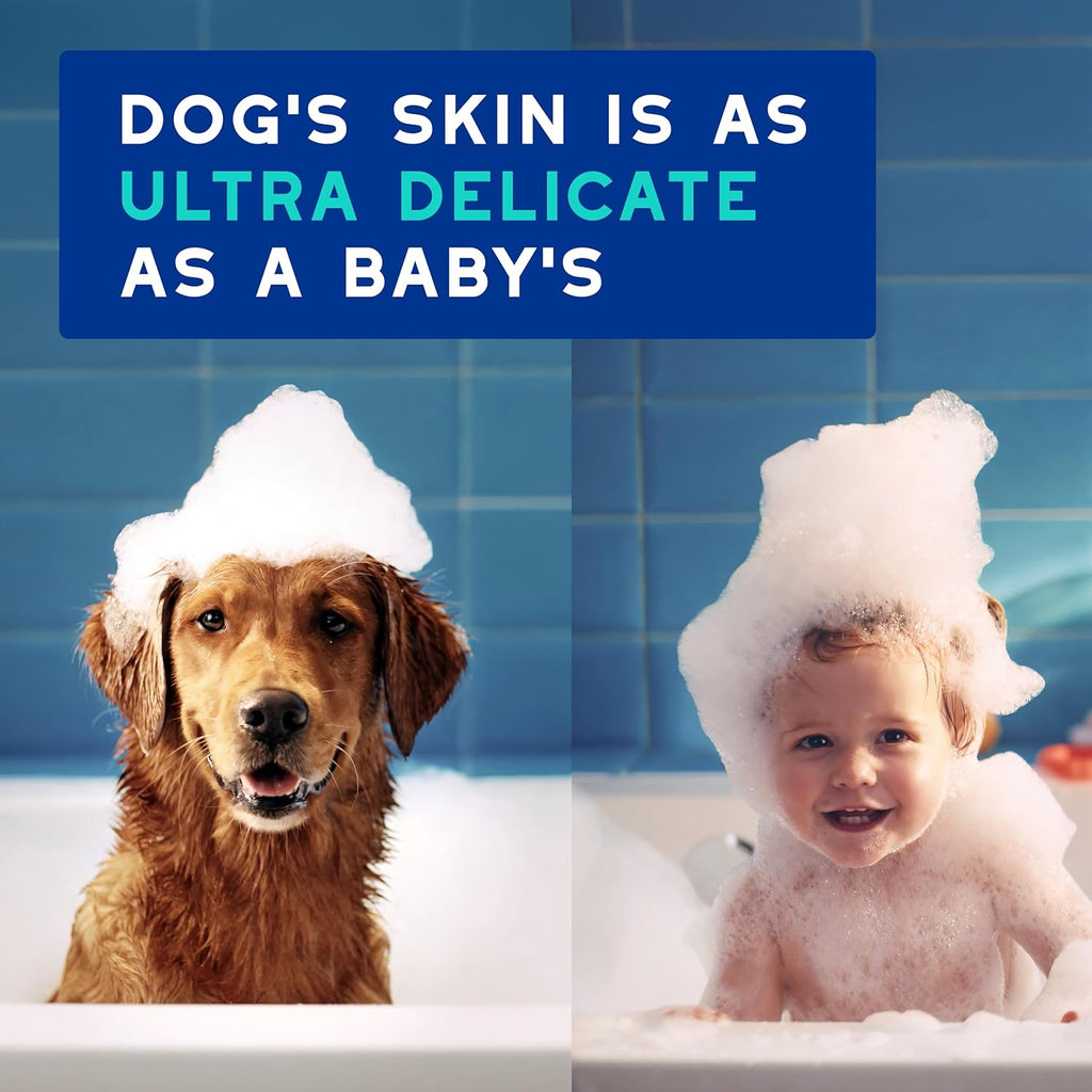 DOUXO® Skin & Coat SPA - Ultra-Safe Odor Control Dog Shampoo for Smelly Dogs, 16 fl oz, Cleans and Hydrates The Skin, Removes Odor, Leaves The Coat Soft and Smelling Great, Skin-Friendly Formula