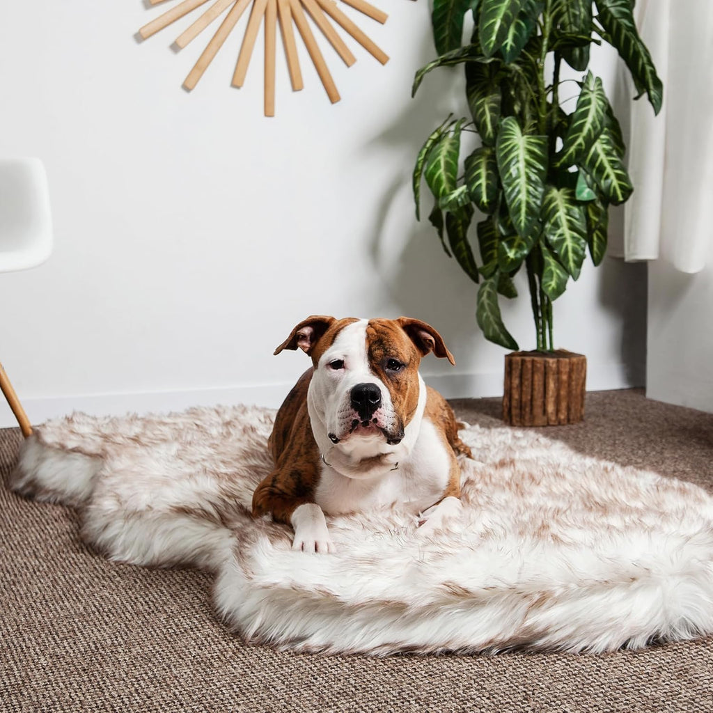 IHAPPYDOG Luxury Faux Fur Orthopedic Dog Bed, Memory Foam Dog Bed for Small, Medium, Large and XL Pets, Fluffy Pet Bed with Waterproof and Washable Cover (White w/Brown Tips, 60"x35")