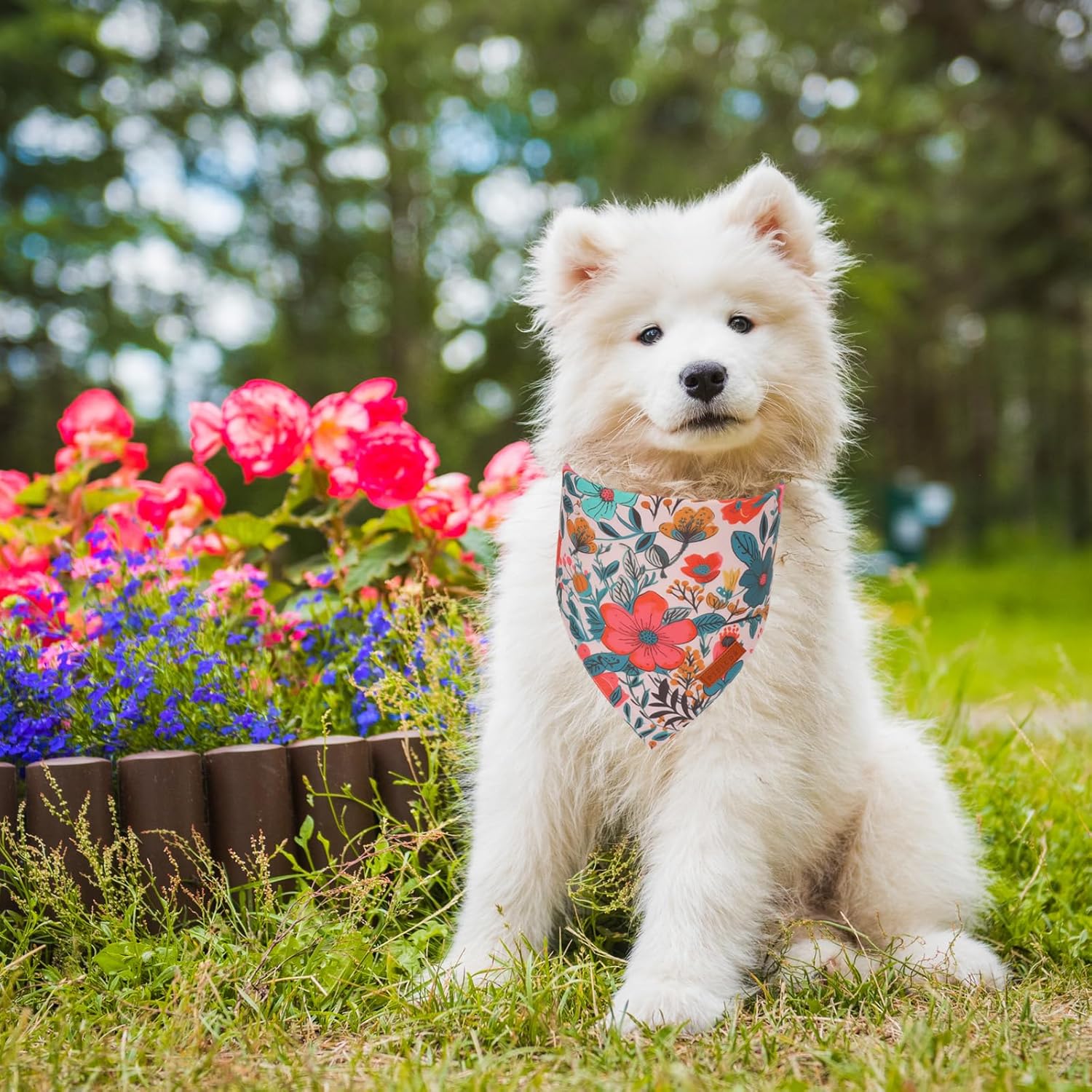 PTDECOR Flower Dog Bandana,2 Pcs Floral Reversible Dog Scarf, Multi Size, Triangle Pet Bandanas for Small Dogs (Flower, Small)
