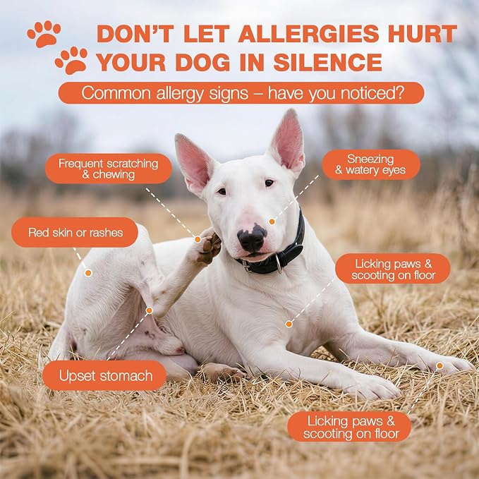 180 Chews Dog Allergy Chews, Itching Skin Relief, Natural Dog Allergy Relief - Image 5