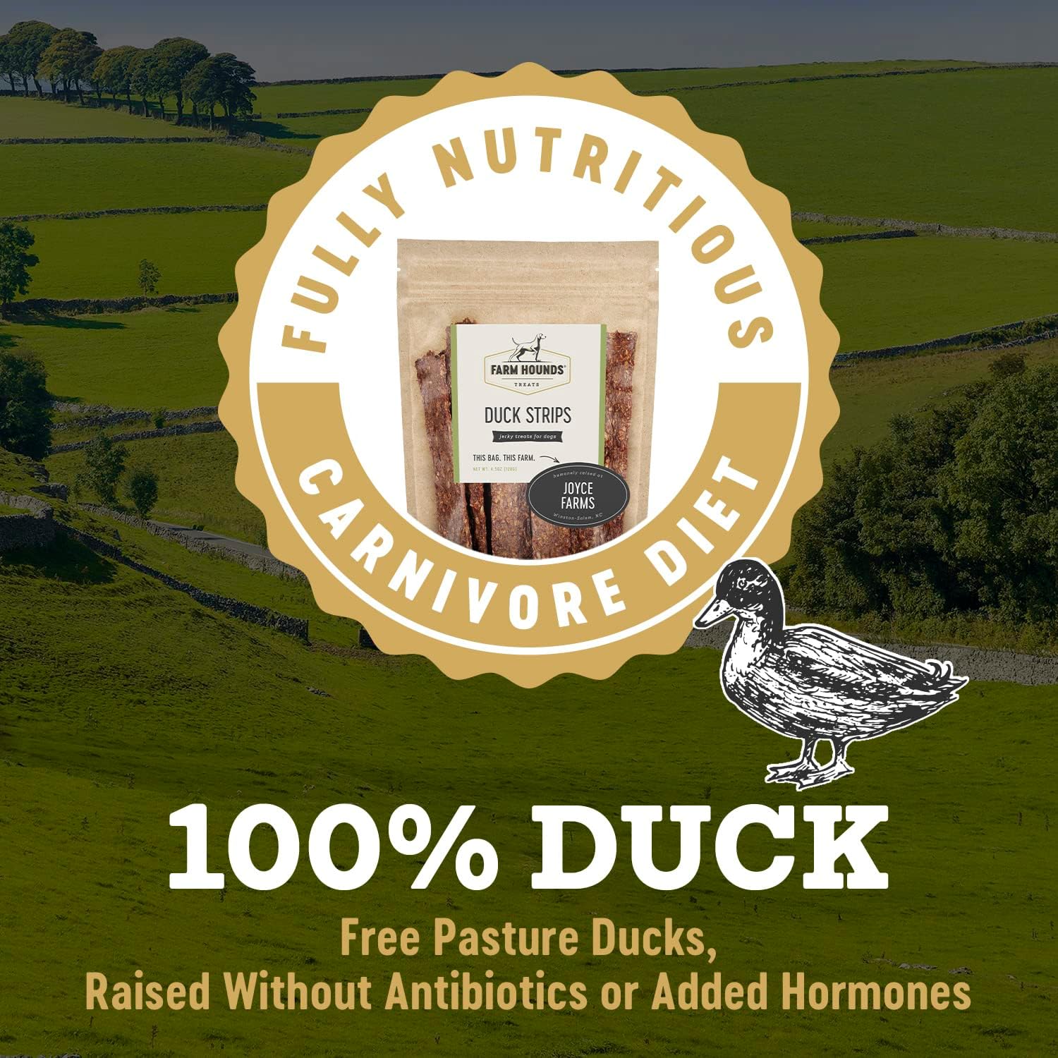 Farm Hounds - Duck Strips - Premium Natural Jerky for Dogs - Made from 100% Humanely Raised Duck - Break-to-Size - Great for Training & Treats - No Added Fillers - Made in USA - 4.5 oz - 1 Pack