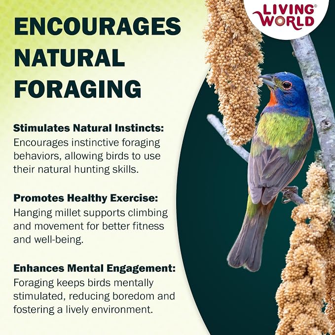 Living World – Millet Spray for Birds, 7 Oz – Premium Treat for Budgies - Image 6