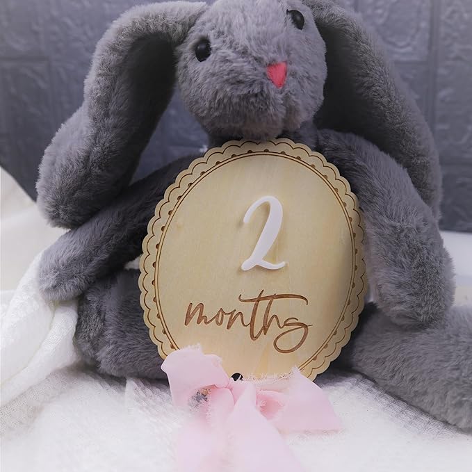 Daisy 3D Baby Monthly Milestone, Wooden Baby Milestone Signs, Monthly Milestone Wood Discs, Baby Milestone Discs (Ribbon)