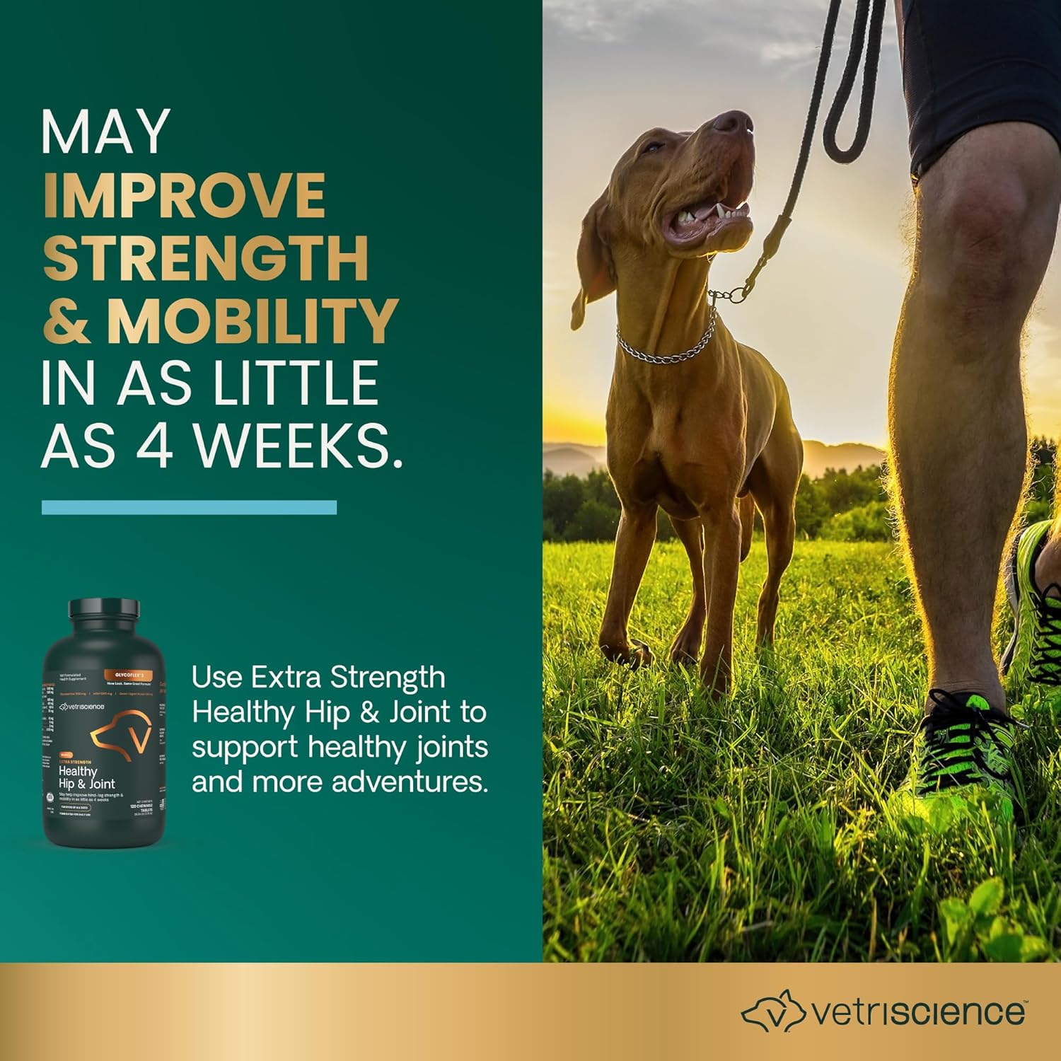 VetriScience Glycoflex 3 Clinically Proven Hip and Joint Supplement for Dogs - Maximum Strength Dog Supplement with Glucosamine, MSM, Green Lipped Mussel & DMG - 120 Chewable Tablets, Chicken Flavor