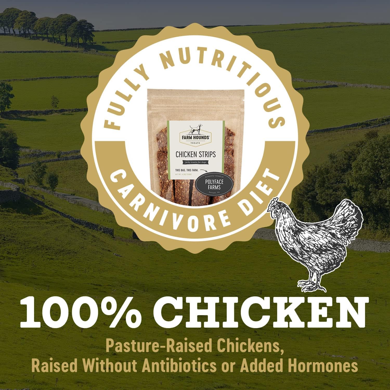 Farm Hounds - Chicken Strips - Premium Natural Jerky for Dogs - Made from 100% Humanely Raised Chicken - Break-to-Size - Great for Training & Treats - No Added Fillers - Made in USA - 4.5 oz - 1 Pack