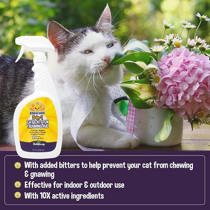 Bodhi Dog 3-in-1 Cat & Kitten Training Aid - Image 2