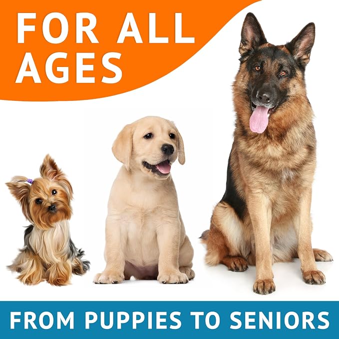 Omega 3 Fish Oil for Dogs - Image 6