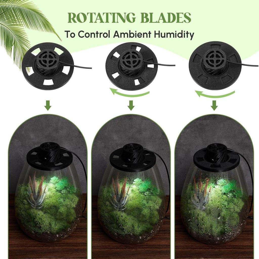 Maxdot Glass Plant Terrarium Kit with Light for Succulent, Moss, Miniature Gardening Landscape, Betta Fish Tank, Office Home Decoration, Plant Lovers Gifts (6.9 x 7.8 Inch)