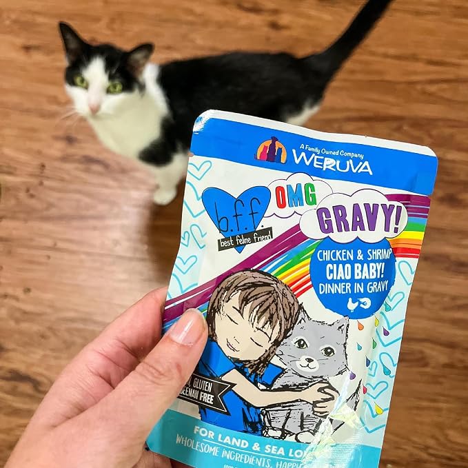 Weruva B.F.OMG - Best Feline Friend Oh My Gravy!, Tuna & Beef Baby Cakes - Image 10