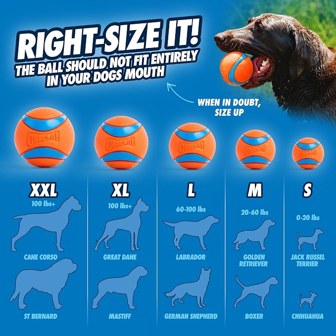 Chuckit! Dog Ball Launcher 12M Sport - Image 8