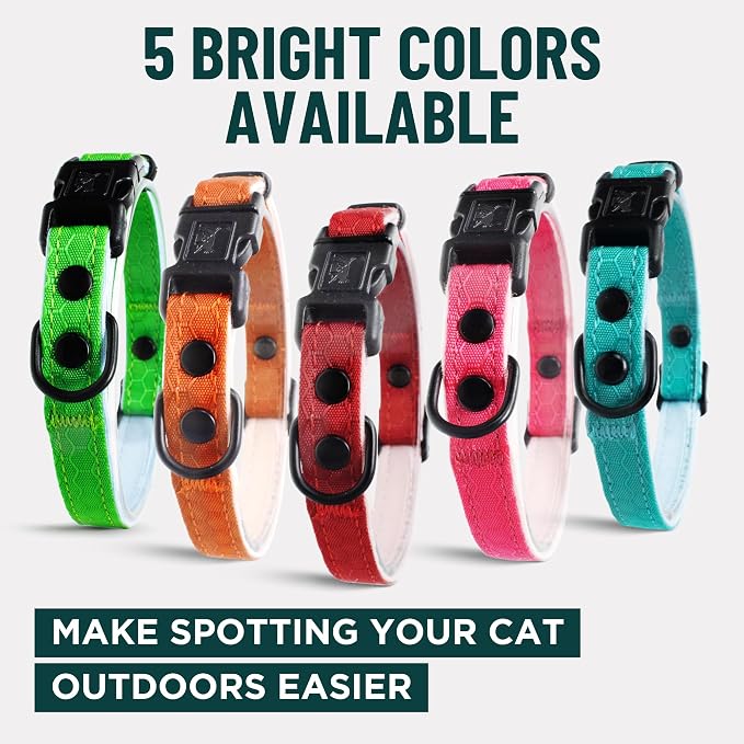 OutdoorBengal Red Breakaway Kitten Collar - Image 7