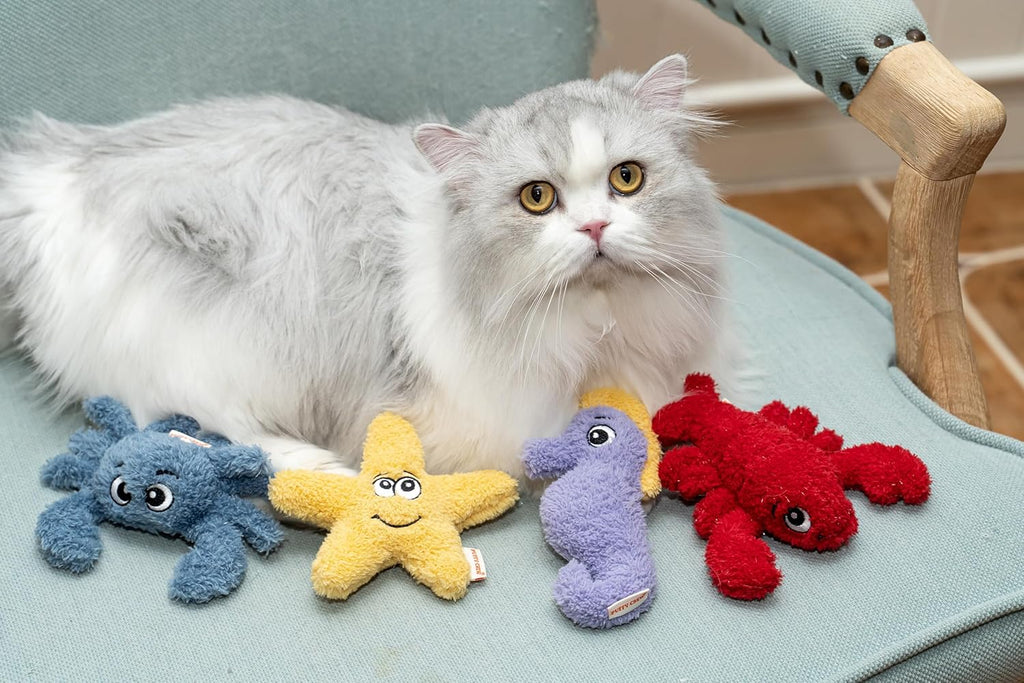 Interactive Catnip Cat Plush Toy, Ocean Theme, 5'', for All Breed Size Cats (Crab)