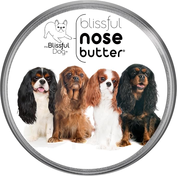 The Blissful Dog All 4 Cavalier King Charles Spaniel Unscented Nose Butter by TheBlissfulDog