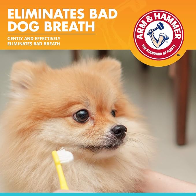 Arm & Hammer for Pets Fresh Breath Enzymatic Dog Toothpaste Vanilla Ginger - Image 2