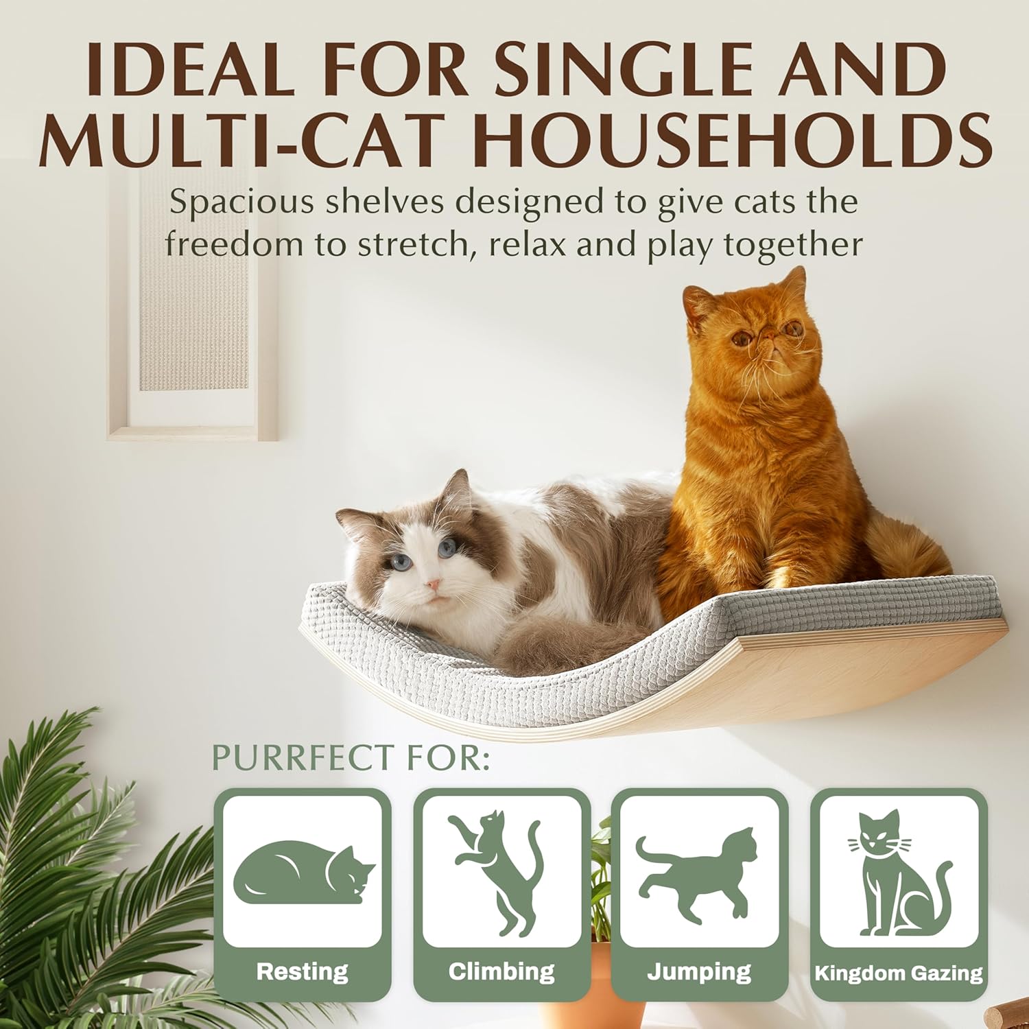 Extra Large 23.6”×14.6” CALLICO HAVEN- Stylish Cat Wall Shelves with Curved Design, Modern Wall-Mounted Cat Tree Hammock with Soft Cushion, Sturdy/Hidden Mounts, Washable Cover, Sleek Design -C Shape