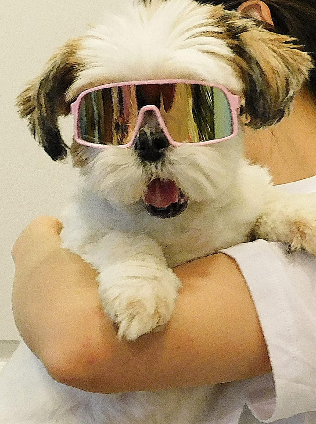G029 Dog Cat Pet Sports Turbo Small Sunglasses for Toy Breeds 8-18lbs (Sport Turbo Pink-Pink Mirror)