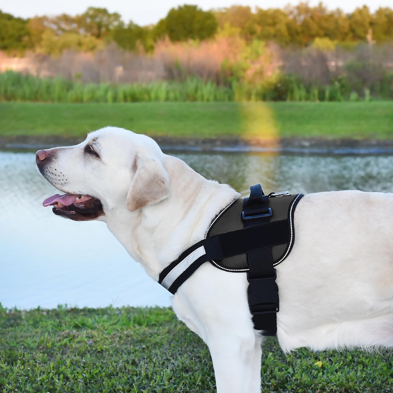 Dogline Dog Harness, Reflective No-Pull Adjustable Vest with Handle for Walking, Training, Breathable, No - Choke Harness for Small, Medium or Large Dogs Room for Patches Girth 18 to 24 in Black