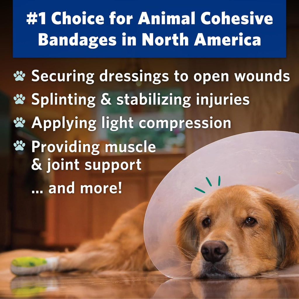 PetFlex Pet Pack – Flexible Self-Adhering Elastic Bandage for Wound Care – First Aid Wrap for Small Animals Like Dogs, Cats, and Other Pets - 2 inch, 36 Rolls