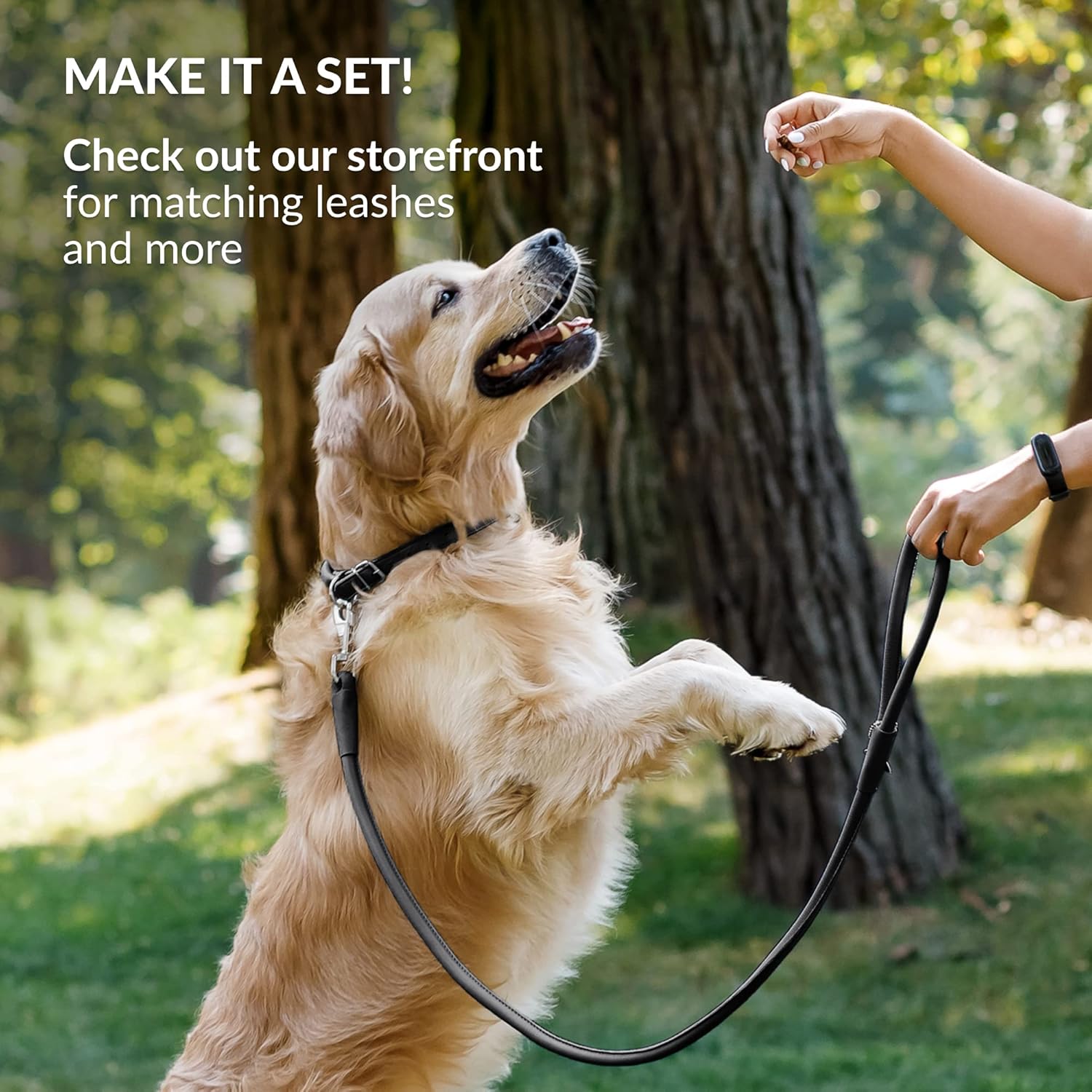 CollarDirect Rolled Leather Dog Collar, Soft Padded Round Puppy Collar, Handmade Genuine Leather Collar Dog Small Large Cat Collars 13 Colors (15-19 Inch, Black Smooth)