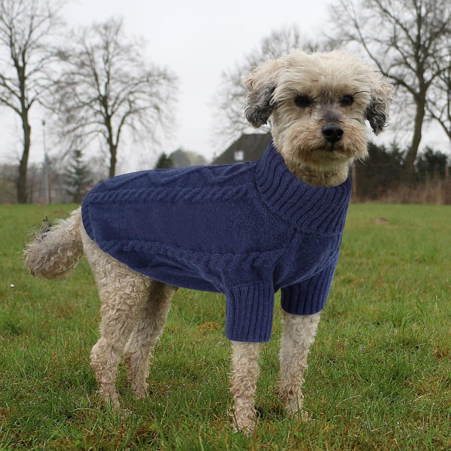 Queenmore Small Dog Pullover Sweater, Cold Weather Cable Knitwear, Classic Turtleneck Thick Warm Clothes for Chihuahua, Bulldog, Dachshund, Pug (Dark Navy, Medium)