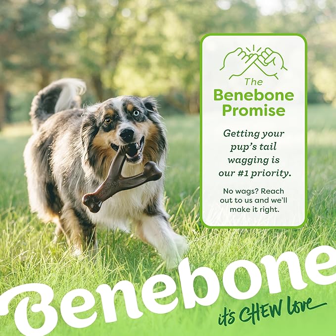 Benebone 3-Pack Wishbone Durable Dog Chew Toy - Image 6