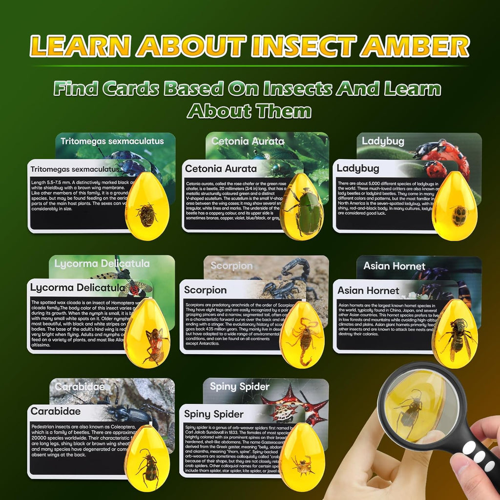 Amber Dig Kit - Insects in Resin, 8 Insects Specimens Excavation Kit, Gemstone Bugs for Kids, Fossil Bug Toys Dig Kits for Bugs Collection, Insect Toys for Boys Girls 6 and up Year Old Birthday Gifts