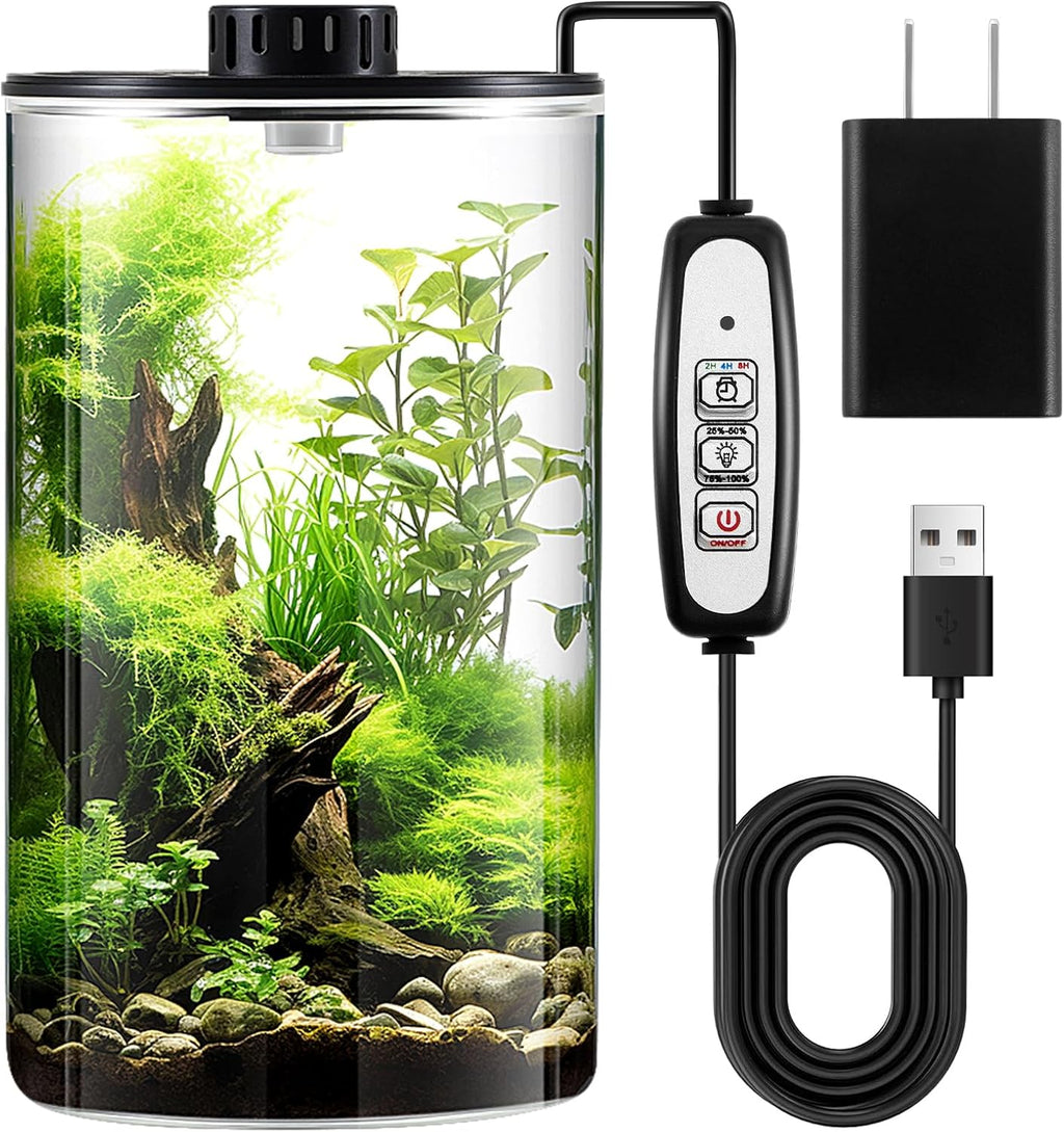 Maxdot Glass Plant Terrarium Kit with Light for Succulent, Moss, Miniature Gardening Landscape, Betta Fish Tank, Office Home Decoration, Plant Lovers Gifts(9.8 x 5.9 Inch)