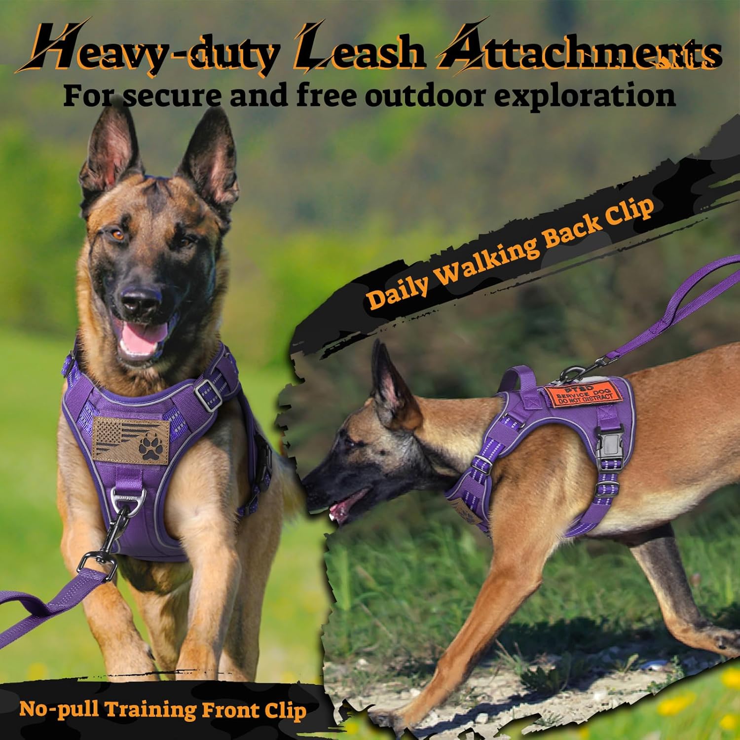 rabbitgoo Dog Harness Medium Sized No Pull, Tactical Service Pet Vest with Molle and Control Handle, Adjustable and Reflective Military Harness for Easy Walking and Training, Purple, M