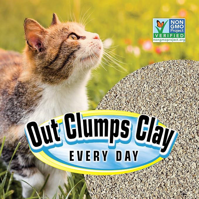 SmartCat All Natural Clumping Cat Litter, 20 Pound - Image 9