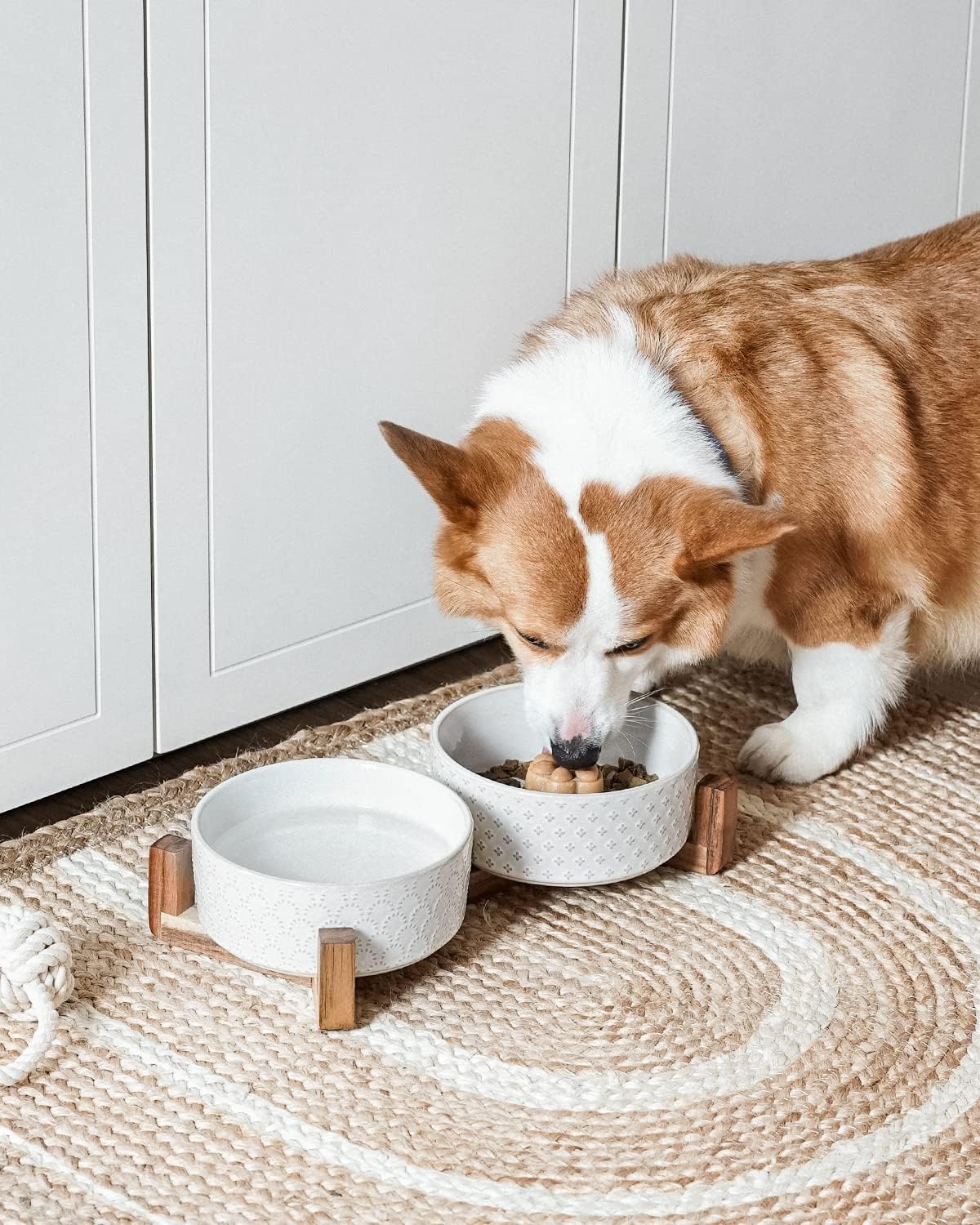 LE TAUCI Dog Bowl Set with Acacia Wood Stand - 1.5-Cup Ceramic Puppy Bowls for Small Dogs, Dual Food and Water Bowls with Weighted Non-Slip Base, Clover