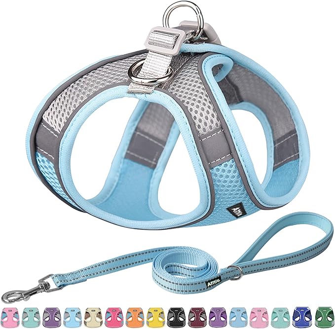 AIITLE Easy Walk Dog Harness and Leash Set by AIITLE-FORPETSBETTERLIFE