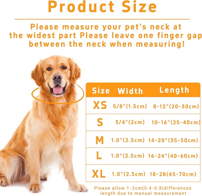 Dog Collar, Classical Birthday Gift Boys Girls Puppy Collar - Image 3