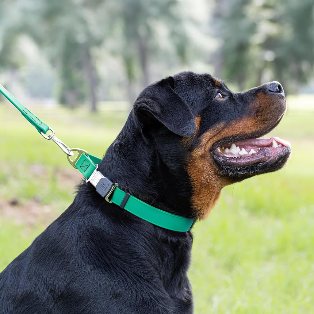 Dogline Biothane Waterproof Dog Collar with Herm Sprenger Stainless Steel Quick Release Buckle – Heavy Duty Tactical Durable Collar for Dogs – Comfortable and Safe Pet Collar, W 1" L 15-25", Teal