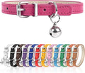 XXS Dog Collar for Teacup Adjustable Teacup Dog Collar for Small Medium Large by Engorgio