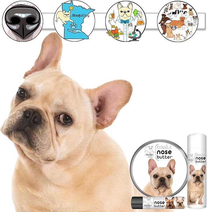 The Blissful Dog Fawn French Bulldog Unscented Nose Butter - Image 3