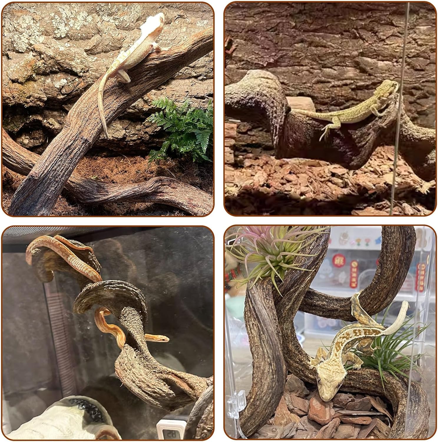 BNOSDM 2Pcs Reptile Climbing Branches Decor,Snake Climbing Branch,Gecko Climb Wood,Lizard Forest Branch,Tank Habitat Tree Trunk Decorations for Bearded Dragons,Chameleons,Spider,Frogs (M)