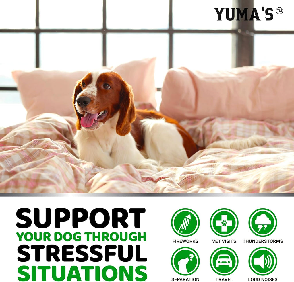 Hemp Calming Chews for Dogs - 240 Treats - Advanced Dog Calming Chews - Anxiety Relief Supplement Treats with Melatonin - Sleep Aid for Separation, Barking, Stress, Hip and Joint Support Made in USA