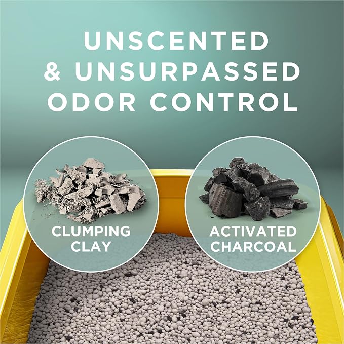 Purina Tidy Cats Clumping Cat Litter Odor Control, Free and Clean Unscented - Image 2