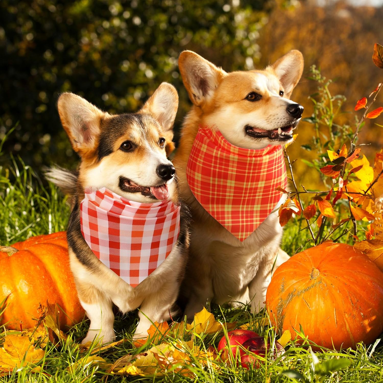 Abbylike 100 Pcs Fall Plaid Dog Bandanas Bulk Thanksgiving Bandanas for Dogs Triangle Kerchief Bib Scarf for Pets Autumn Costume Photo Props Accessories Pet Shops Grooming Services, 25 Styles