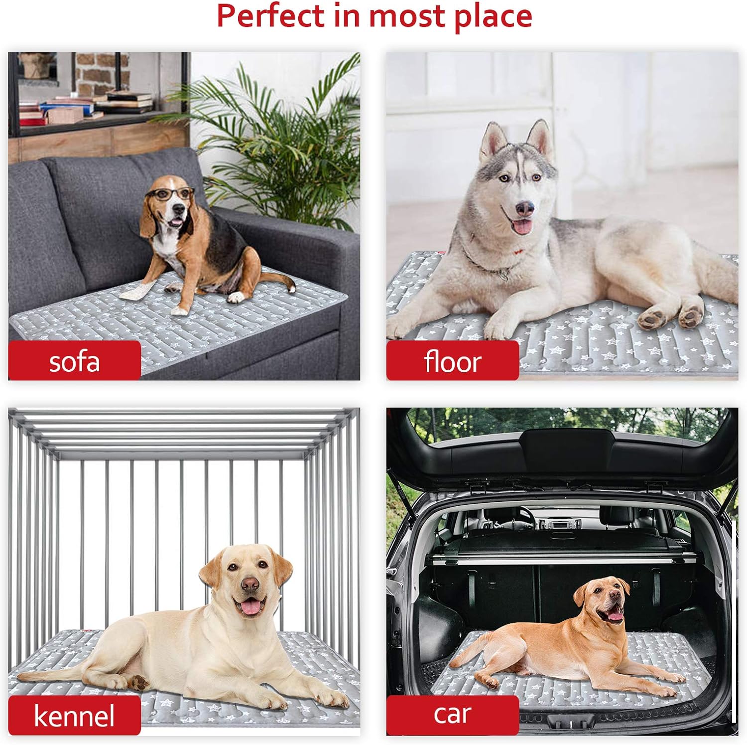 Dog Crate Bed Mat (36" X 23"), Soft Dog Bed Mat with Cute Stars, Personalized Crate Pad, Anti-Slip Bottom, Machine Washable Kennel Pad