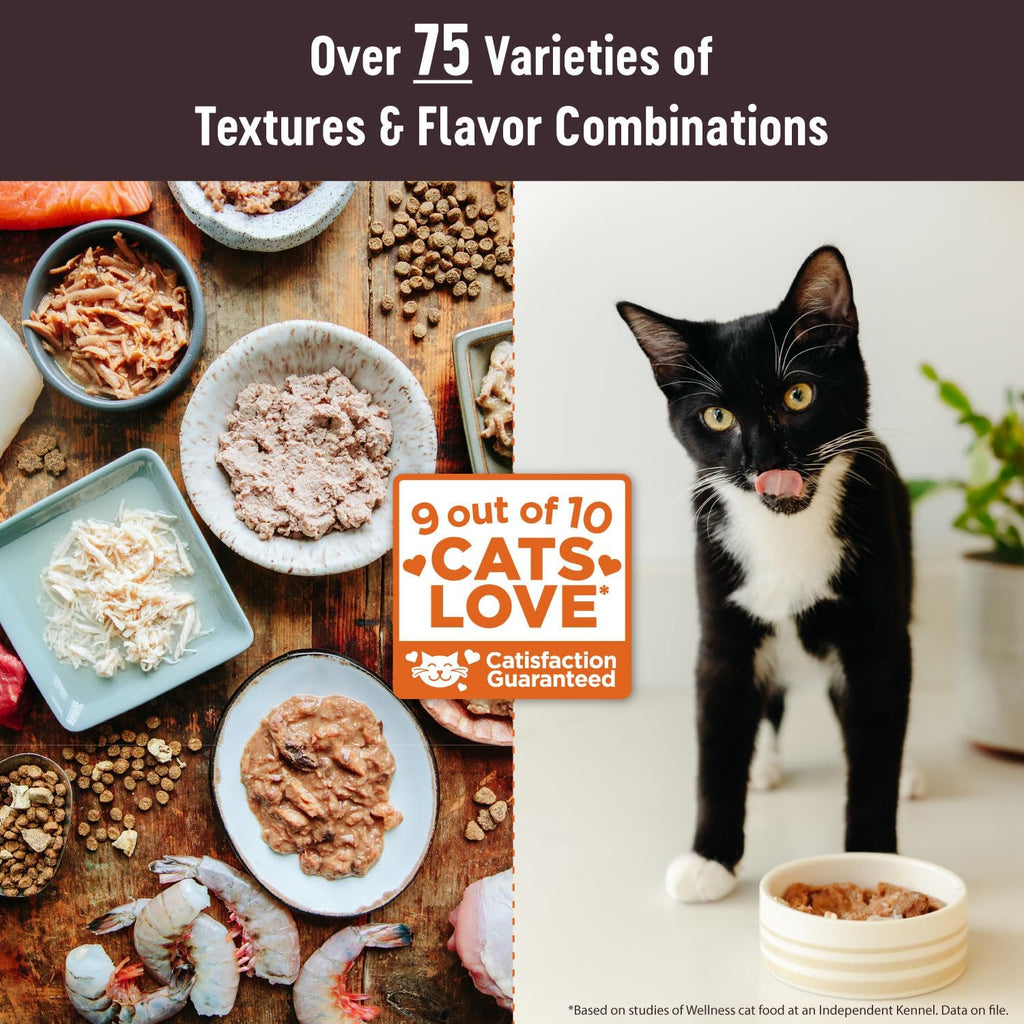 Wellness CORE Tiny Tasters Pate Adult Wet Cat Food, Natural, Protein-Rich, Grain Free, 1.75 Ounce Pouch, 12 Pack (Chicken & Beef)
