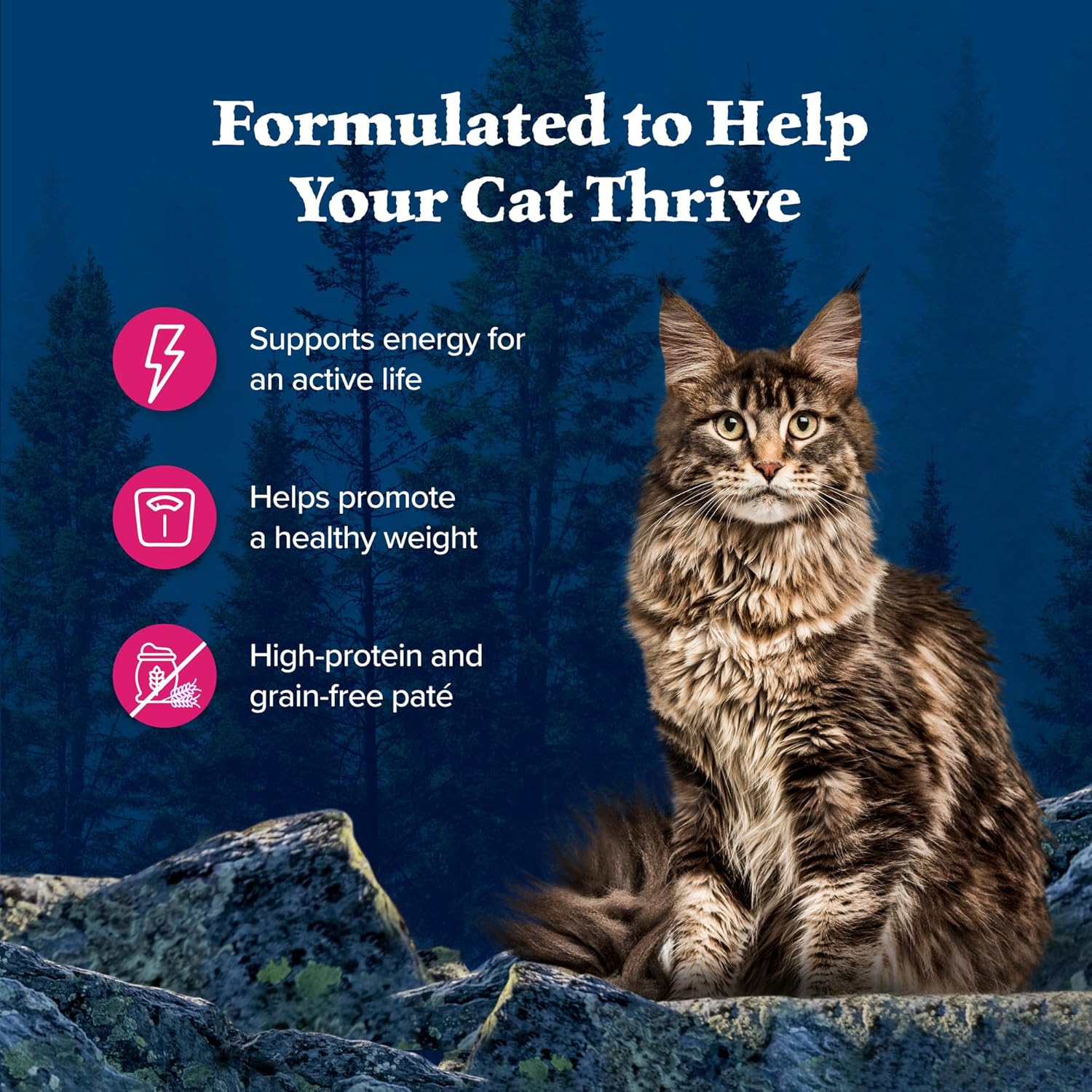 Blue Buffalo Wilderness Natural High-Protein Grain-Free Wet Food for Adult Cats, Salmon Paté, 5.5-oz. Cans, 24 Count