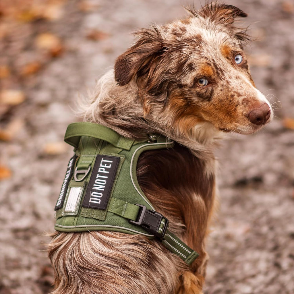 rabbitgoo Dog Harness for Large Dogs No Pull, Tactical Service Pet Vest with Molle and Control Handle, Adjustable and Reflective Military Harness for Easy Walking and Training, Brown camo, XL