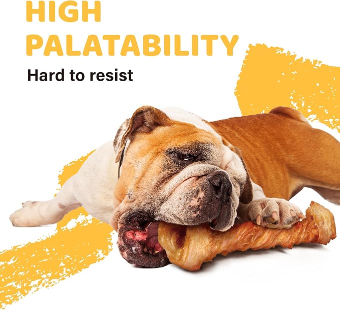 iPaw Turkey Tendon for Dogs 40 Pcs Bulk Pack, Ingredient Sourced from USA - Image 4