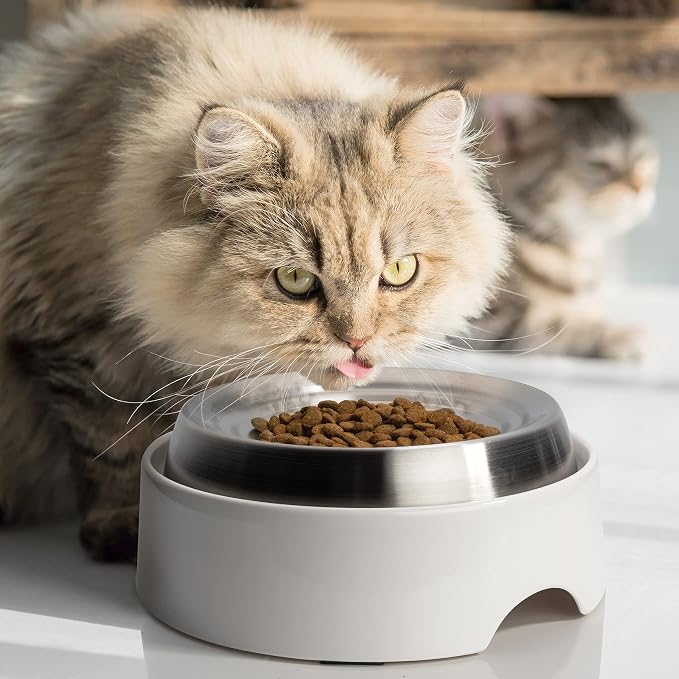 CatGuru Cat Bowls, Whisker Friendly Food Bowl - Image 6